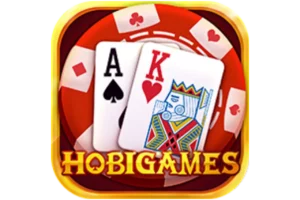 hobi games logo