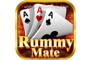 Rummy Mate Logo